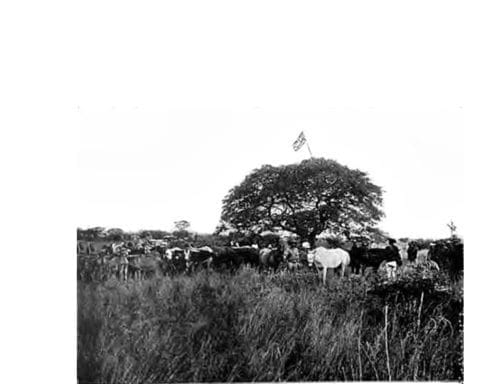 The Frist Brirish Flag At Bulawayo (ca. 1893)